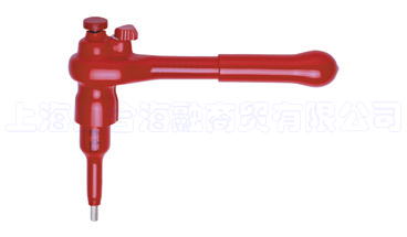 ��ԵŤ������