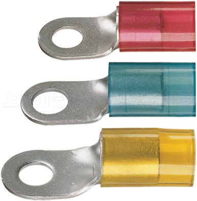 ��Ե�޺����Ͷ���