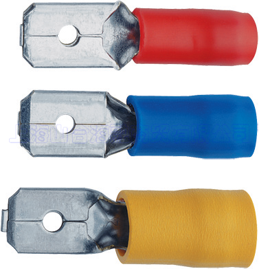 ��Ե��Ƭ����