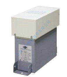 ������˿��CPF CAPACITOR WITH FUSES