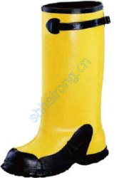 ����Salisbury���ԵЬ��ѥ��