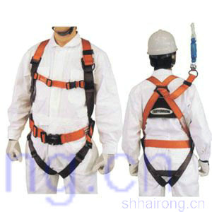 ȫ��ʽ��ȫ�����ձ���