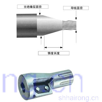 ����Ե��������