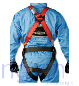 ȫ��ʽ��ȫ��